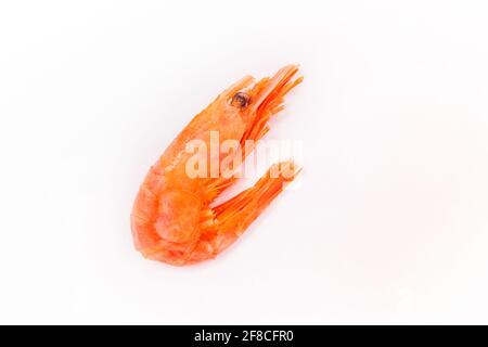 Boiled seafood fresh shrimp on white background isolated, close-up. Stock Photo