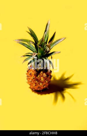 Mini pineapple on a solid yellow background Stock Photo