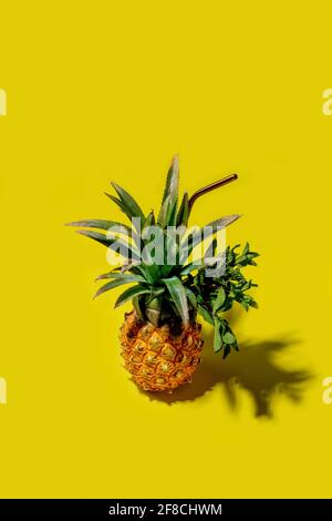 Mini pineappl on a solid yellow background Stock Photo