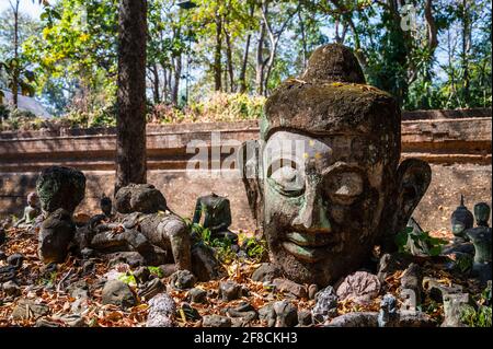 Head of a Buddha statue at the temple of Umong in Chiang Mai Stock Photo