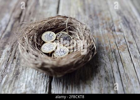 Retirement savings British pound coins in birds nest egg concept for pension plans Stock Photo