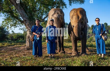 friends with elephant's at animal sanctuary in the golden triangle Stock Photo