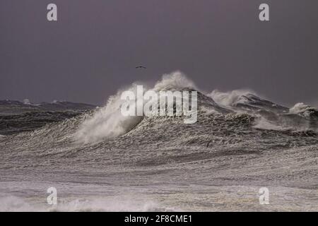 Huge stormy breaking sea wave against dark sky. Northern portuguese coast during winter. Stock Photo