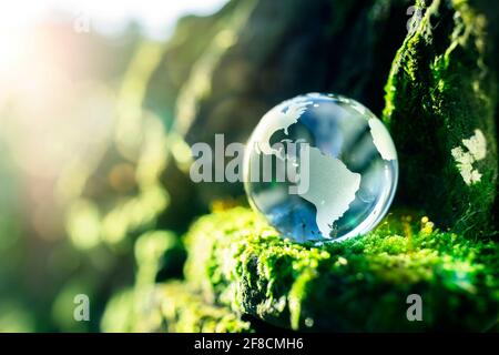 Glass globe in the in nature concept for environment and conservation Stock Photo
