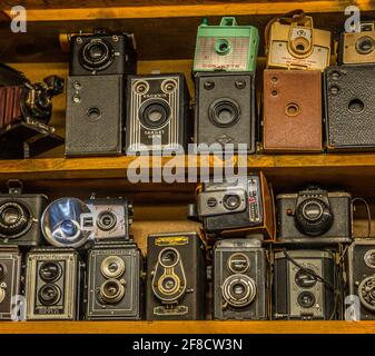 A collection of old antique vintage film cameras of different kinds on a shelf on display indoors Stock Photo
