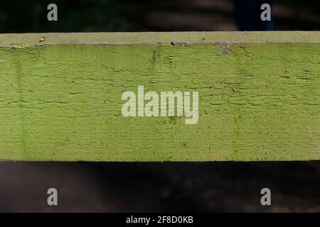 Plain green rough textured wood background with space for copy Stock Photo