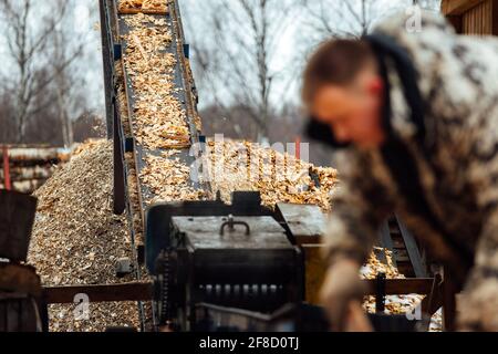 wooden board on the conveyor. people work on an automated sawmill. industrial enterprise for wood processing. the worker puts the boards in the crushe Stock Photo