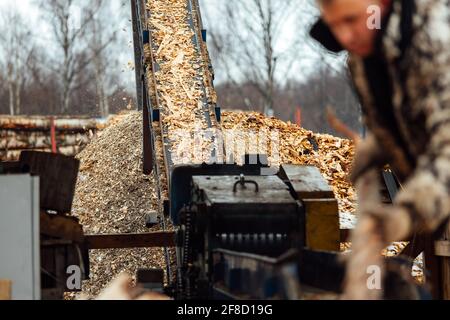 wooden board on the conveyor. people work on an automated sawmill. industrial enterprise for wood processing. the worker puts the boards in the crushe Stock Photo