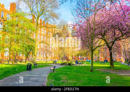 View of the sackville gardens next to the shena slmon campus in Manchester, England Stock Photo