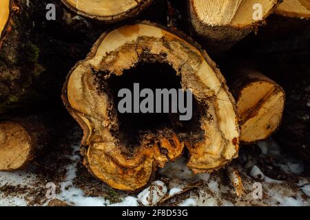 wooden board on the conveyor. people work on an automated sawmill. industrial enterprise for wood processing. a worker carries a board for sawing Stock Photo