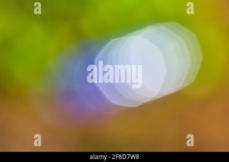 Abstract image from a pastel colored background where a group of whitish colored geometric polygons stands out Stock Photo