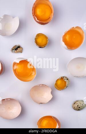 Vertical shot cracked eggshells with yolk. Stock Photo