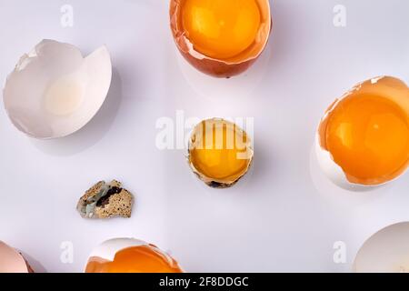 Top view egg yolks in eggshells. Stock Photo