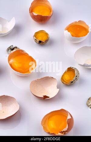 Chicken and quail eggshells with yolk. Stock Photo