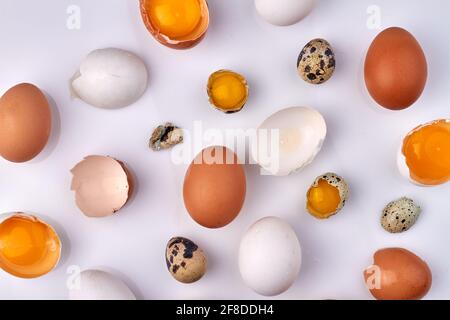 Many cracked eggshells isolated on white. Stock Photo