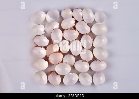 Top view hen shells on white surface. Stock Photo