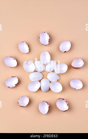 Vertical shot chicken egg shells arranged in a round shape on beige background. Stock Photo