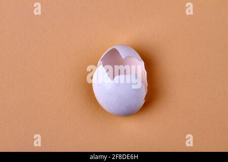 Broken chicken egg. Top view empty egg on beige background. Stock Photo