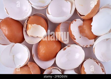 Close-up texture of broken empty eggshells. Stock Photo