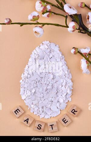 Eggshell shards and flower on beige background. Stock Photo