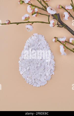 Many eggshell pieces and flower on beige background. Stock Photo
