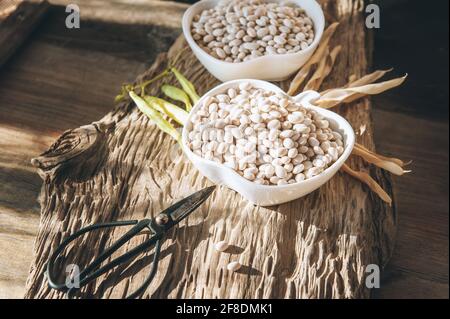 White beans in white ceramic bowls next to a pile of white beans on an old vintage wooden surface. Stock Photo