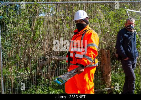 Aylesbury Vale, UK. 9th April, 2021. HS2 were back in the ancient woodland of Jones Hill Wood today felling trees. Environmental activists trying to protect Jones Hill Wood are taking legal action against Natural England who granted the licence to HS2 fell Jones Hill Wood despite it having rare barbastelle bats in the wood. The controversial and massively over budget High Speed 2 rail link from London to Birmingham is carving a huge scar across the Chilterns which is an AONB. Credit: Maureen McLean/Alamy Stock Photo