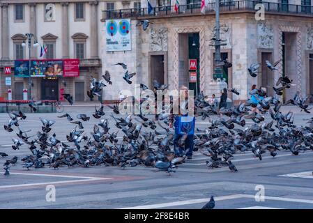 MILANO, ITALY, JULY 20, 2019: Person is feeding pigeons at Piazza del Duomo in Milano, Italy Stock Photo