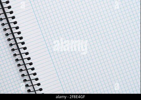 detail of a blue checkered notepad with black worm Stock Photo
