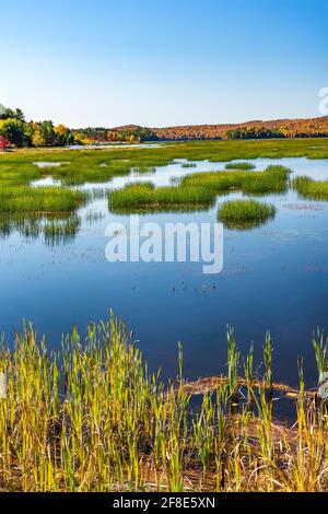 Autumn on Tupper Lake, Franklin County, Adirondack Park, New York Stock Photo