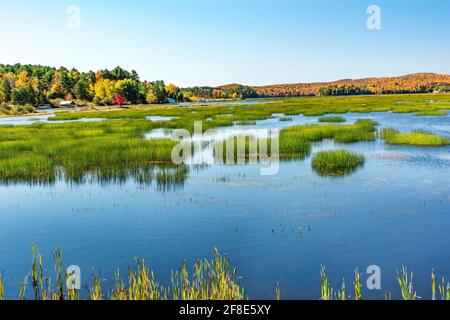 Autumn on Tupper Lake, Franklin County, Adirondack Mountains, New York Stock Photo