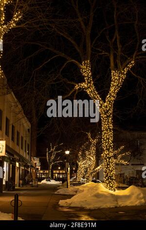 A cold February night in downtown Portsmouth, New Hampshire. Trees are decorated with lights. Portsmouth is a busy seaside city on New Hampshire coast. Stock Photo