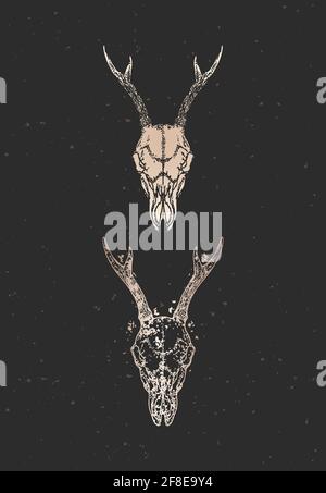 Vector illustration with hand drawn roe deer skull, spider and Sacred ...