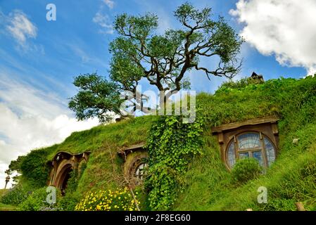 I didn’t believe that this is a fake tree on the background  Taken @Hobbiton Movie Set, Hamilton, New Zealand
