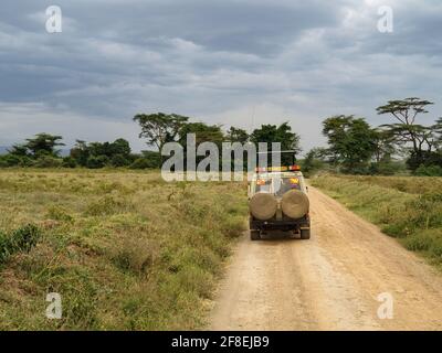 Rothchild's Giraffes crossing the road in front of Safari Jeeps, Lake Nakuru, Kenya, Africa Stock Photo