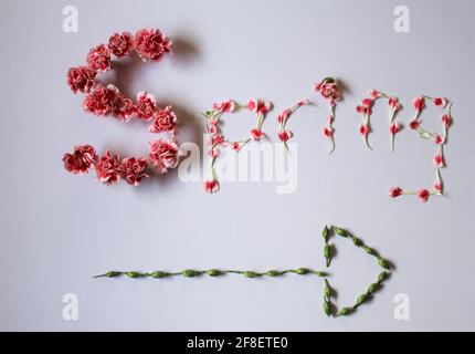The word Spring spelled with flower petals meaning with arrow pointing forward to symbolize the daylight savings 2021 spring forward clock. Stock Photo