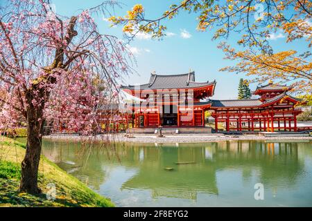 Byodo-in temple at spring in Uji, Kyoto, Japan Stock Photo