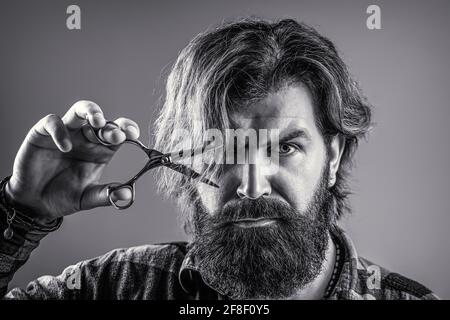 Male in barbershop, haircut, shaving. Bearded man isolated on gray background. Barber scissors, barber shop. Barber scissors. Vintage barbershop Stock Photo