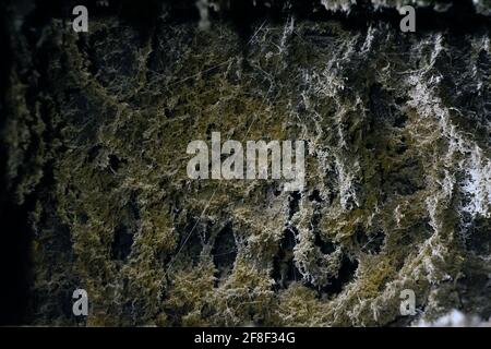 Photo of old dust texture in ventilation shaft Stock Photo