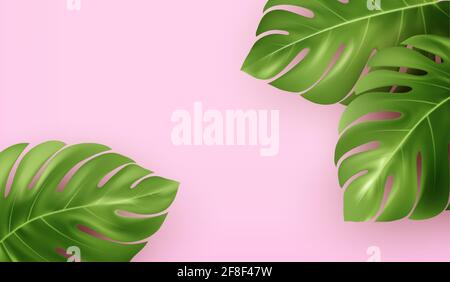 Bright pink summer background with tropical realistic monstera leaves. Background design for advertising leaflet, banner, flyer. Vector illustration Stock Vector