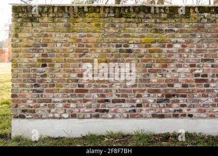A red brick wall with yellow lichen and concrete base with meadow in front. Stock Photo