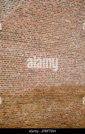 A very large wall of red bricks with some moisture in the lower part. Stock Photo