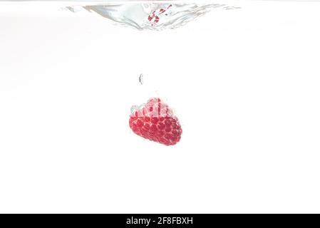 One raspberry splashing in water on white Stock Photo