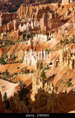 Sunrise at Sunrise Point in the Bryce Canyon National Park. Utah USA Stock Photo