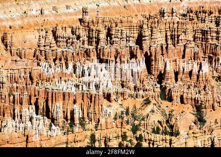 Bryce Point lookout in the Bryce Canyon National Park. Utah USA Stock Photo