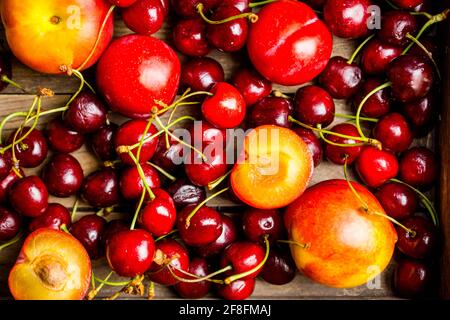 Ripe plums, nectarines and cherries in rustic pan. Selective focus. Stock Photo