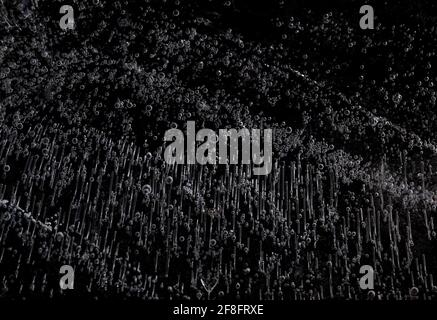 Bubbles trapped in ice. Black and white. Stock Photo