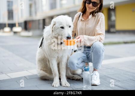 Woman hold a bowl and gives a water to her big white dog while sitting on her feet in courtyard of the residence. Pet care, animal lover. Thirsty dog drinks water in hot summer Stock Photo