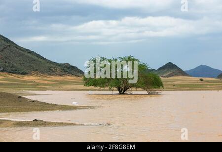 A rainy day at makkah desert, saudi arabia Stock Photo