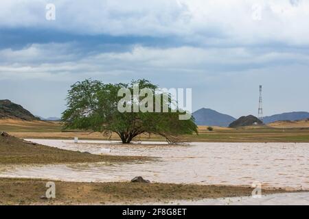 A rainy day at makkah desert, saudi arabia Stock Photo